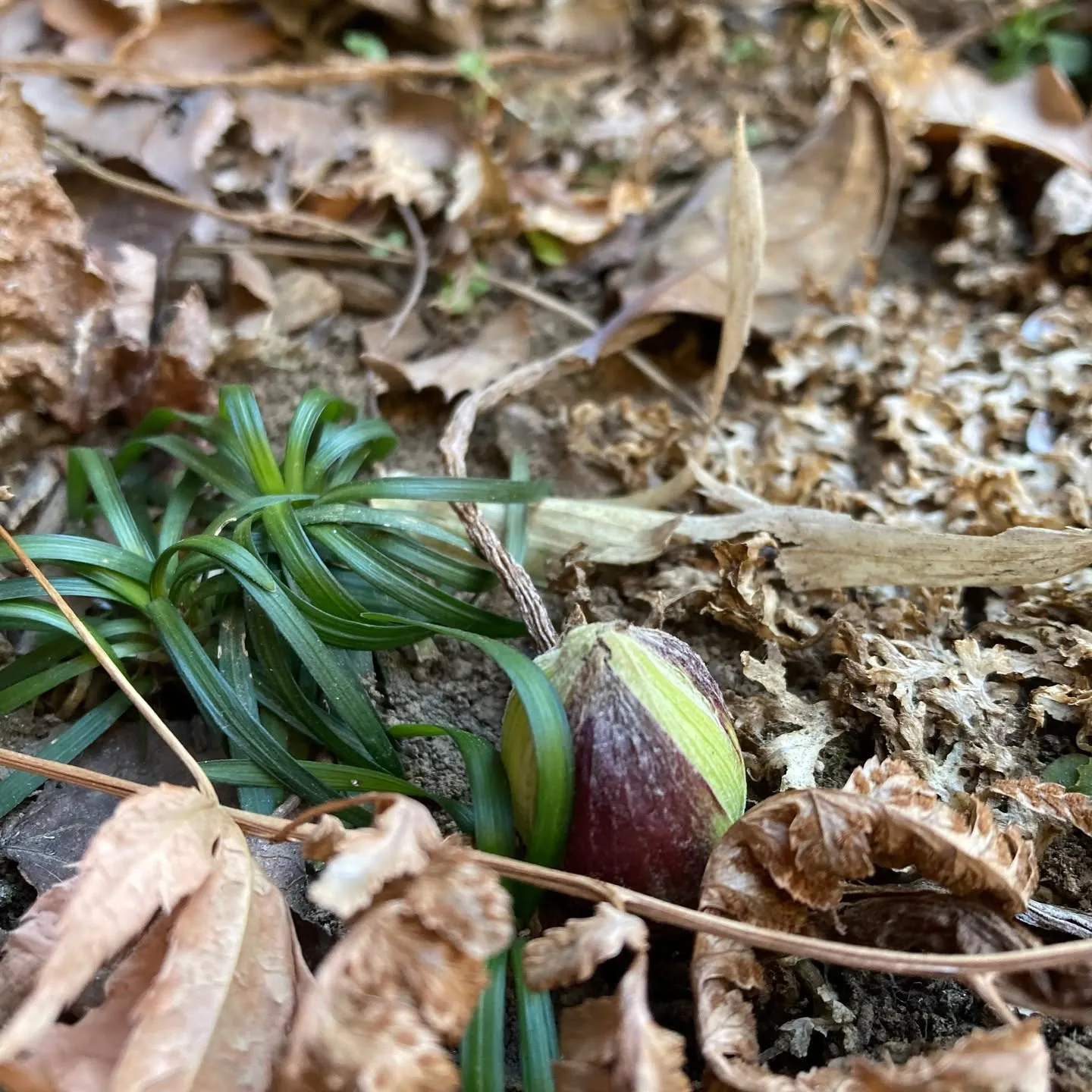 2025.2.28 　こんにちは！売店スタッフです。