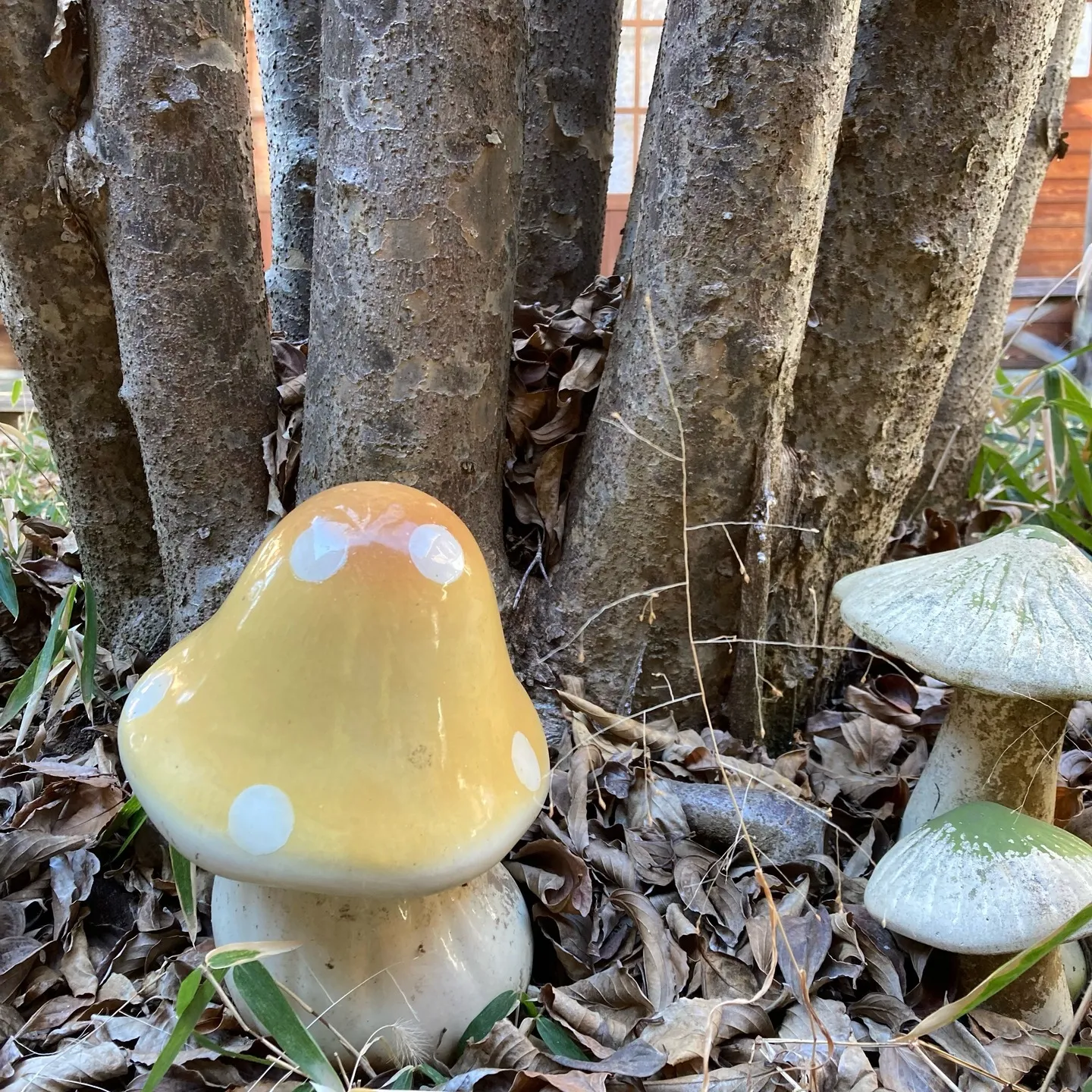 2025.2.28 　こんにちは！売店スタッフです。