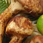 きのこ料理深山亭個人様メニュー